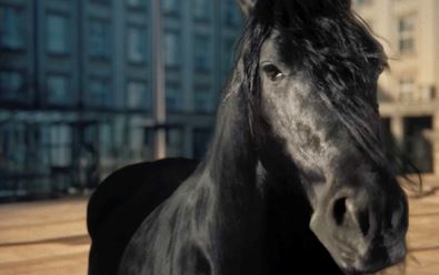 Mustang chce být černým koněm mezi hořkými pivy