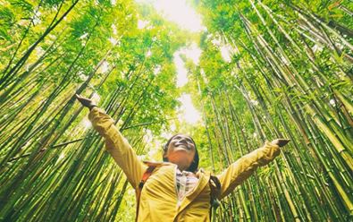 Dvě třetiny Čechů nedůvěřuje tvrzením firem o udržitelnosti