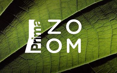 Prima Zoom upravila program, k 10. výročí uvádí kampaň