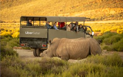 Uber přichází se službou Safari, vyráží do africké divočiny