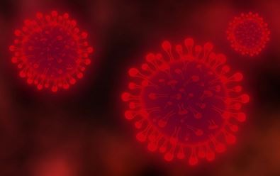 Lidé hledají informace o koronaviru, ČT24 přesáhla 10 %