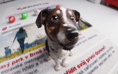 Seznam.cz pokračuje v brandové kampani s digitálním psem