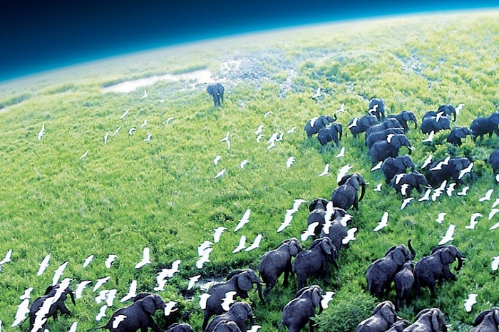 Dokumentární stanice Earthx opustila český trh