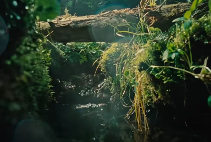 Rajec v kampani děkuje přírodě, vyzývá k péči o ni