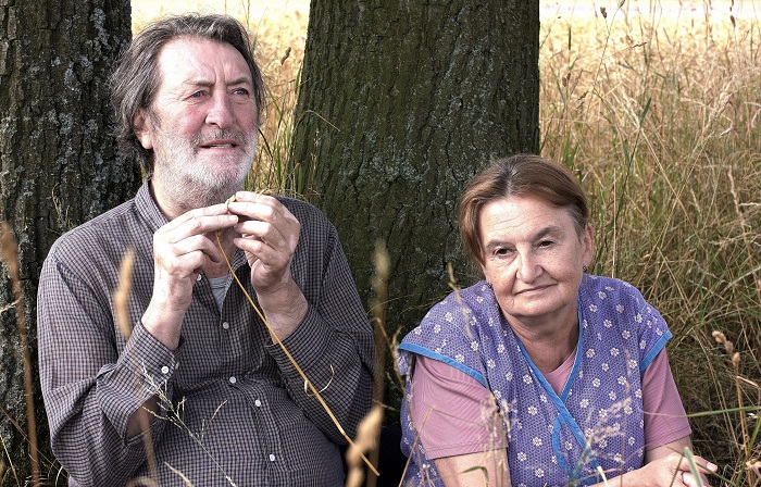 Závěr filmové trilogie Cesta domů byl nedělní jedničkou