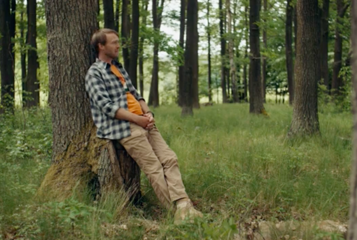 Lidl se v nové CSR kampani pouští do obnovy lesů