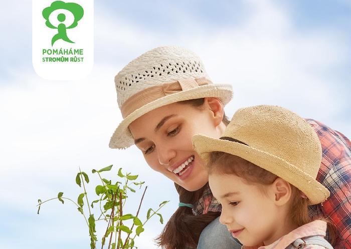 Rossmann se s Henkel opět zaměří na výsadbu stromů