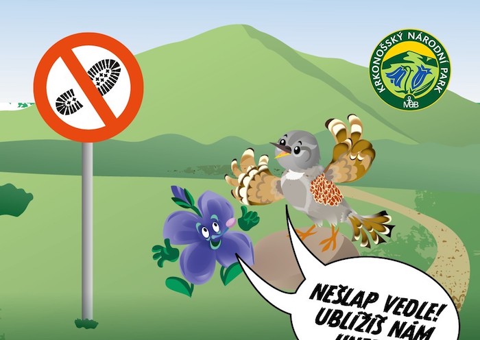 KRNAP v kampani upozorňuje na vzácnou přírodu