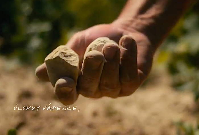 Vinařský fond spouští kampaň v dokumentárním stylu