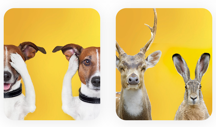 Billa vyřazuje zábavní pyrotechniku, uvádí rozsáhlou kampaň