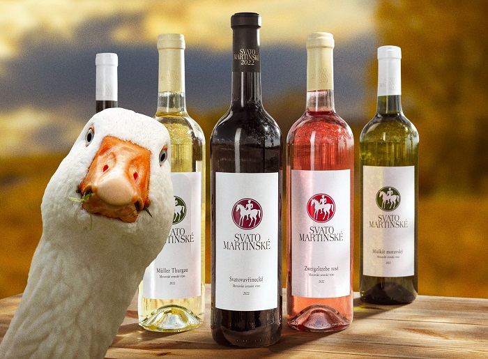 Vinaři podporují svatomartinské, do prodeje jde rekordní počet