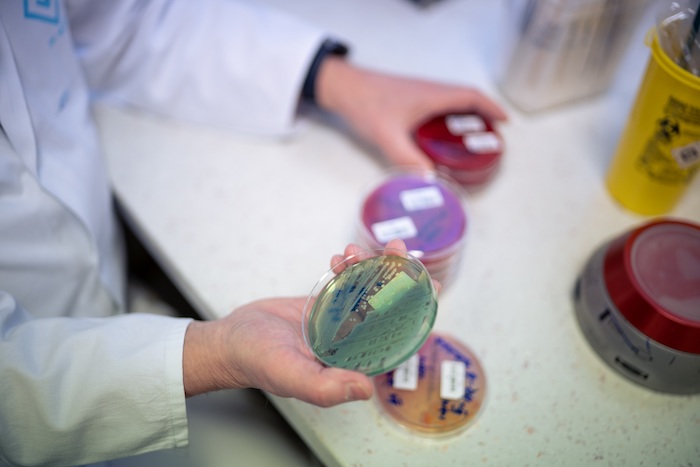 Startuje další kampaň o antibiotické rezistenci