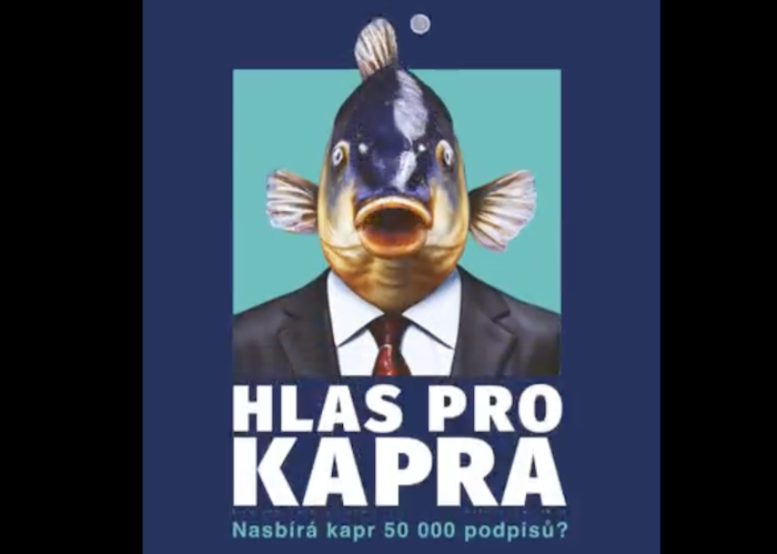 Kampaň proti prodeji živých kaprů využívá AI