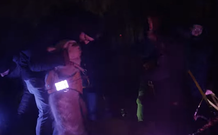 Helppes a WMC Grey bojují za „Silvestr bez týrání"