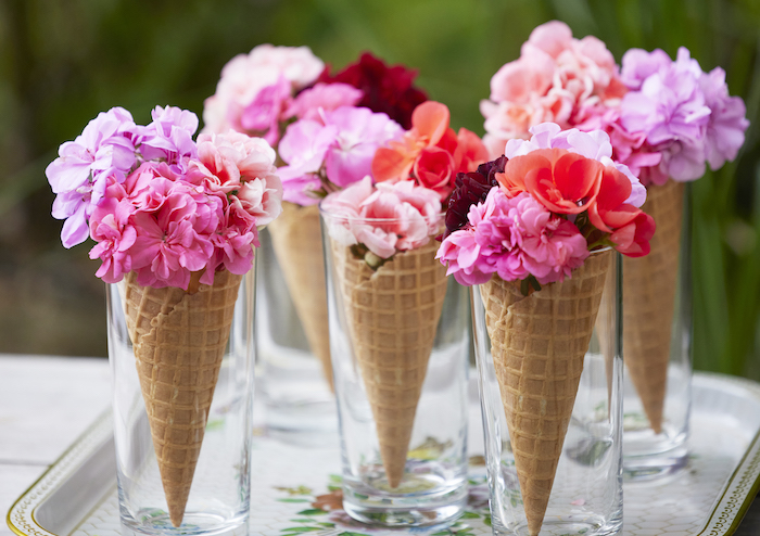 Prodejci muškátů mohou využít zdarma marketingové nástroje