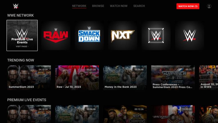 Prostředí streamingové služby WWE Network