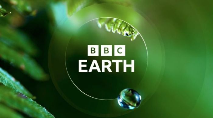 Nové logo dokumentárního kanálu. Zdroj: BBC