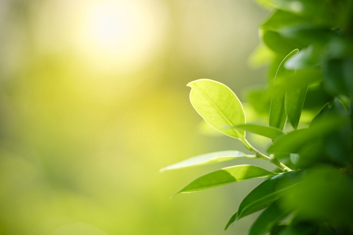 FSV UK a CIRA Advisory radí firmám na poli udržitelnosti