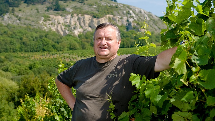 Vinařství Miloše Michlovského prodá 70 % produkce v řetězcích, 30 % v gastronomii a vinotékách, výrazně ale rostou i online prodeje. Zdroj: Vinselekt Michlovský