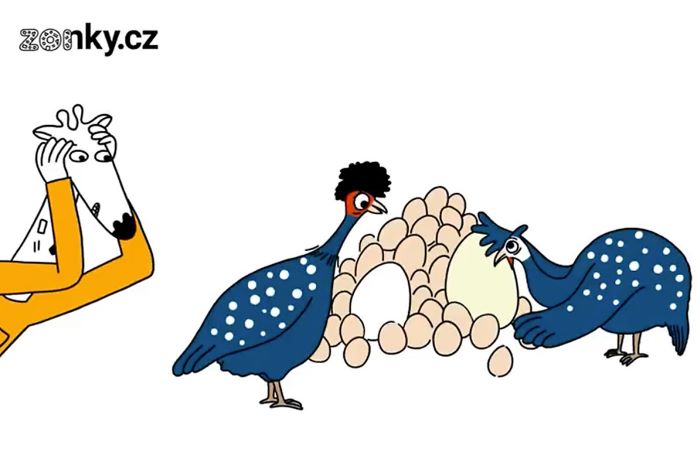 Zonky nasazuje do animované kampaně nově perličky
