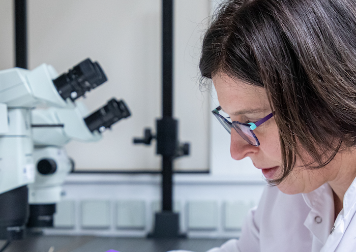 L’Oréal Paris v kampani propojuje výzkum s ženskou empatií