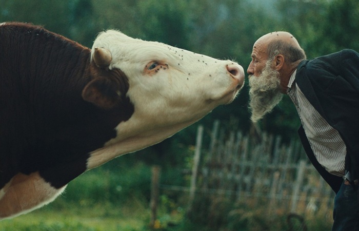 MFF KV: Křišťálový glóbus má film Raději zešílet v divočině