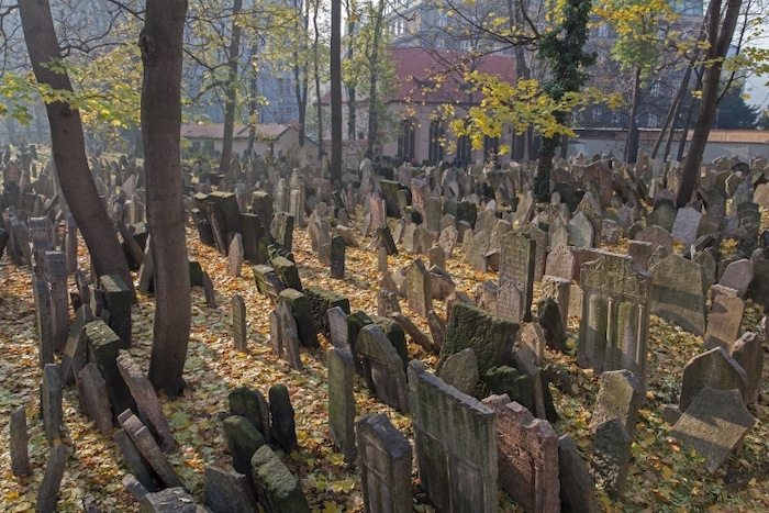 Židovské muzeum v Praze hledá novou vizuální identitu