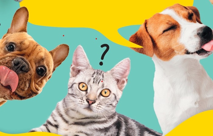 Billa spouští věrnostní kampaň s domácími mazlíčky