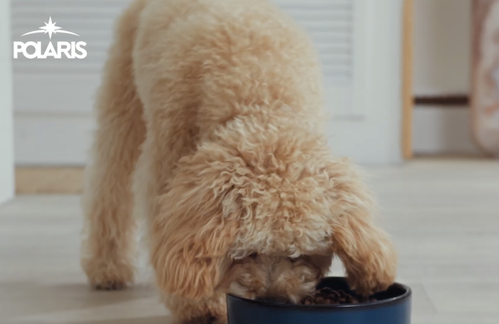 Partner in Pet Food volí pro značku Polaris Konektor