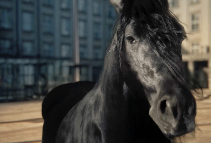 Mustang chce být černým koněm mezi hořkými pivy