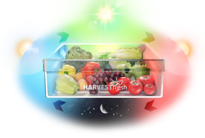 Beko si na PR v regionu vybírá Surikata PR