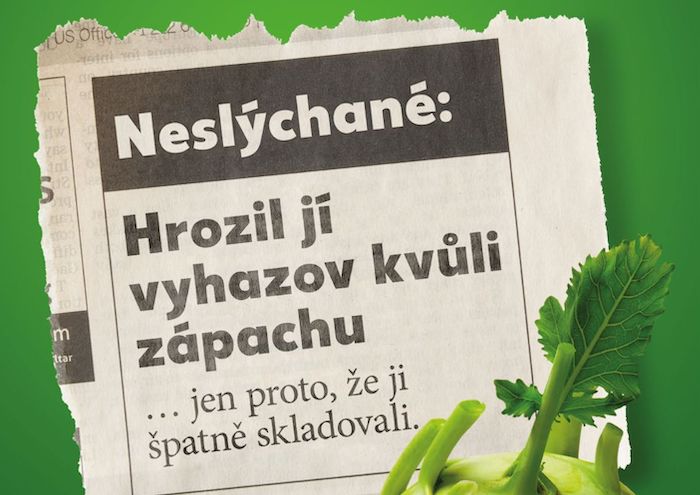 Kaufland pokračuje s edukační kampaní „Nekrm koš!“