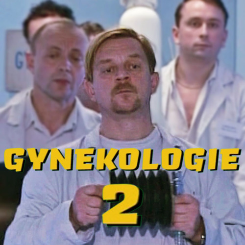 Gynekologie2_1